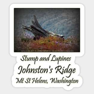 dead stump & lupines, Johnston's Ridge Sticker